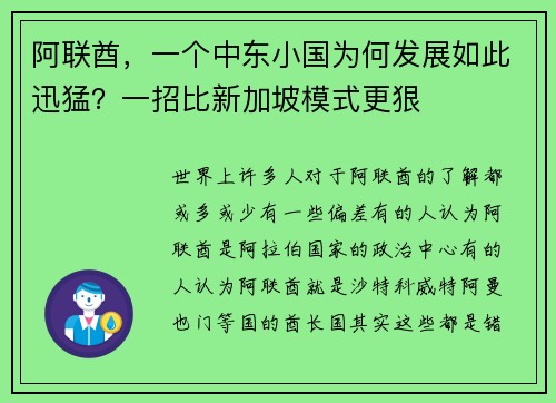 阿联酋，一个中东小国为何发展如此迅猛？一招比新加坡模式更狠