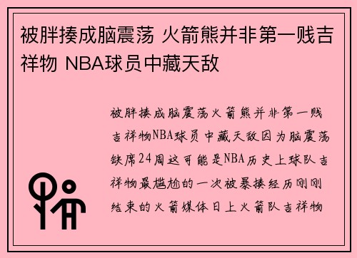 被胖揍成脑震荡 火箭熊并非第一贱吉祥物 NBA球员中藏天敌