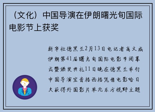 （文化）中国导演在伊朗曙光旬国际电影节上获奖